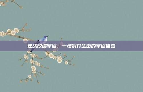 逆战改编军训,一场别开生面的军训体验