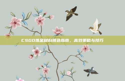 CSGO炼金材料挑选指南,高效策略与技巧