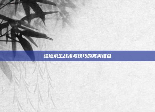 绝地求生战术与技巧的完美结合