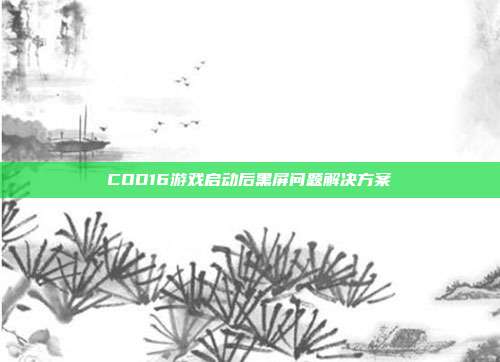 COD16游戏启动后黑屏问题解决方案