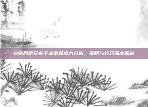安徽合肥玩家王者荣耀战力分析,策略与技巧深度解析