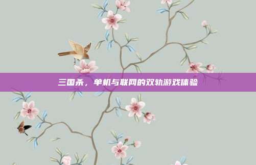 三国杀,单机与联网的双轨游戏体验
