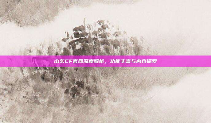 山东CF官网深度解析,功能丰富与内容探索