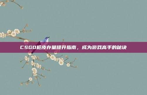 CSGO枪皮存量提升指南,成为游戏高手的秘诀