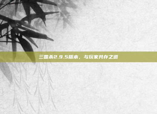 三国杀2.9.5版本,与玩家共存之道