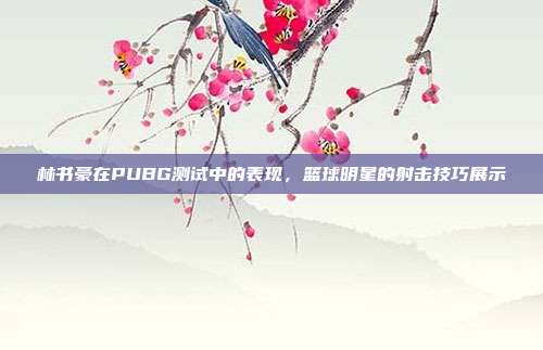 林书豪在PUBG测试中的表现,篮球明星的射击技巧展示