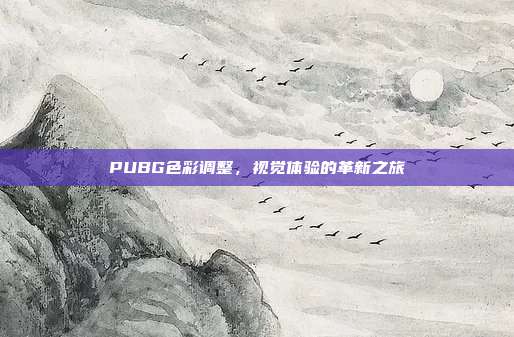 PUBG色彩调整,视觉体验的革新之旅