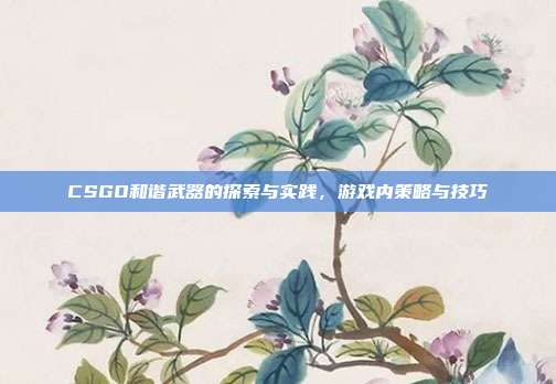 CSGO和谐武器的探索与实践,游戏内策略与技巧
