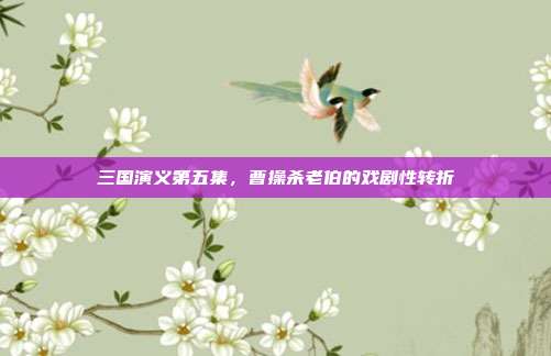 三国演义第五集,曹操杀老伯的戏剧性转折