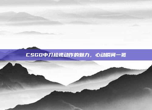CSGO中刀检视动作的魅力,心动瞬间一览