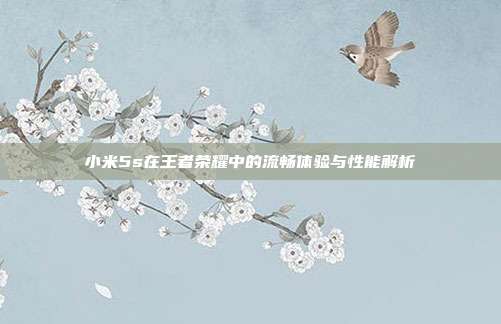 小米5s在王者荣耀中的流畅体验与性能解析