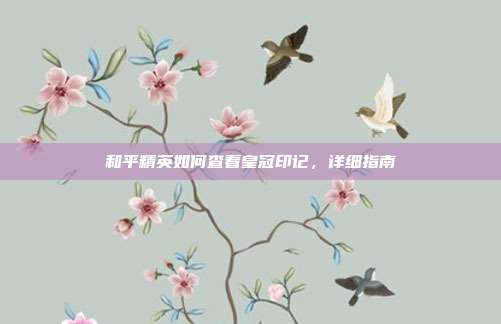 和平精英如何查看皇冠印记,详细指南