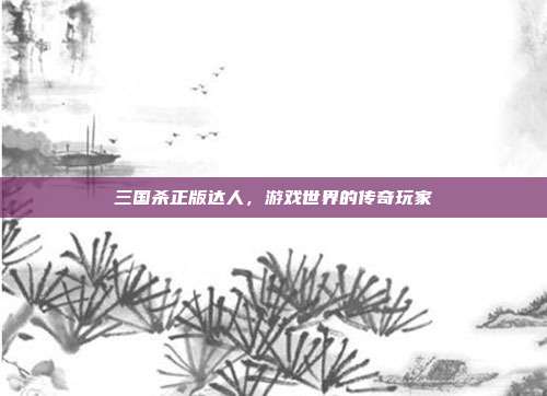 三国杀正版达人,游戏世界的传奇玩家