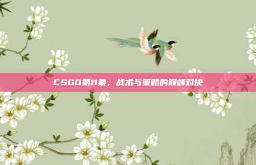 CSGO第11集,战术与策略的巅峰对决