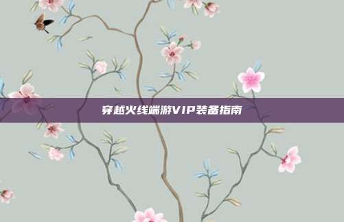 穿越火线端游VIP装备指南