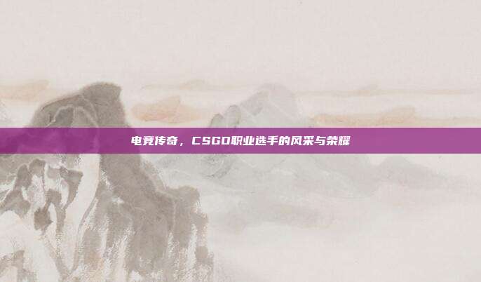 电竞传奇,CSGO职业选手的风采与荣耀