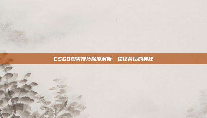 CSGO烟雾技巧深度解析,揭秘背后的奥秘