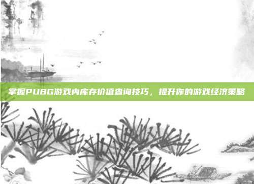 掌握PUBG游戏内库存价值查询技巧,提升你的游戏经济策略