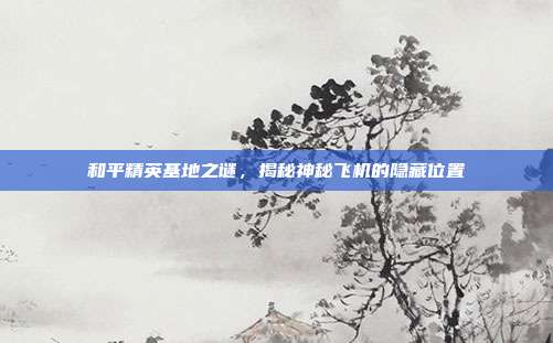 和平精英基地之谜,揭秘神秘飞机的隐藏位置