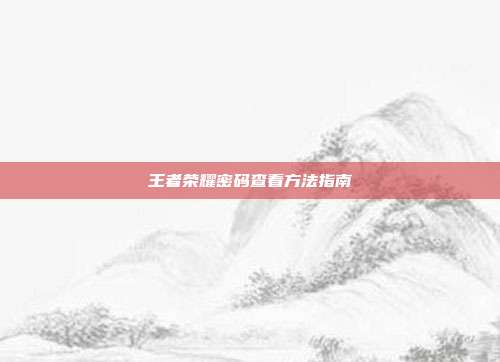 王者荣耀密码查看方法指南