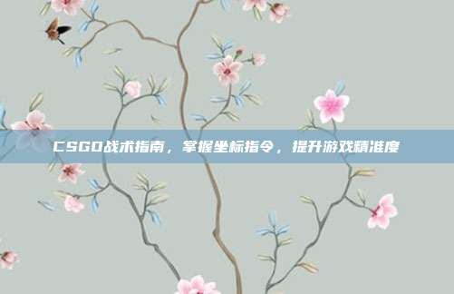 CSGO战术指南,掌握坐标指令,提升游戏精准度