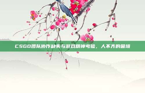 CSGO团队协作缺失与游戏精神考验,人不齐的困境