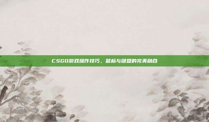 CSGO游戏操作技巧,鼠标与键盘的完美融合