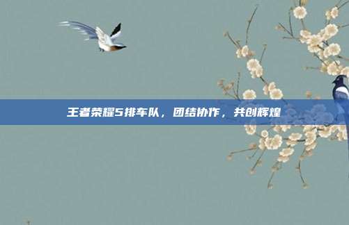 王者荣耀5排车队,团结协作,共创辉煌