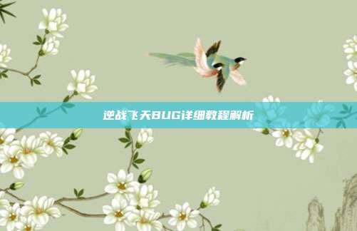 逆战飞天BUG详细教程解析