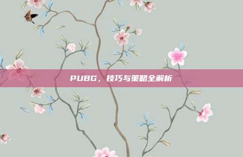 PUBG,技巧与策略全解析