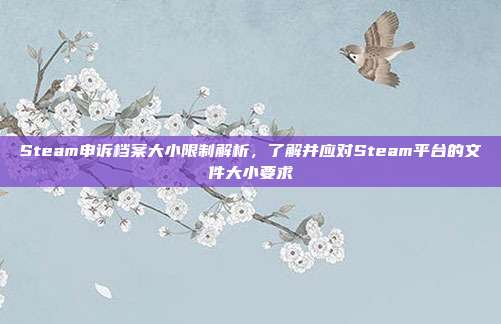 Steam申诉档案大小限制解析,了解并应对Steam平台的文件大小要求