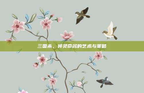 三国杀,将灵命名的艺术与策略