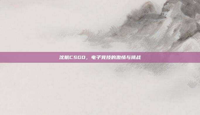 沈航CSGO,电子竞技的激情与挑战