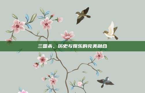 三国杀,历史与娱乐的完美融合
