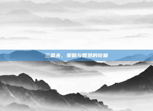 三国杀,策略与智慧的较量