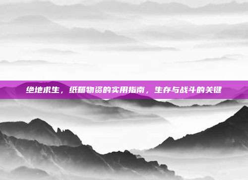绝地求生,纸箱物资的实用指南,生存与战斗的关键
