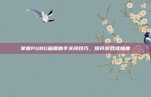 掌握PUBG画质助手关闭技巧,提升游戏流畅度