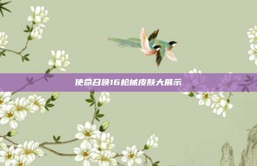使命召唤16枪械皮肤大展示