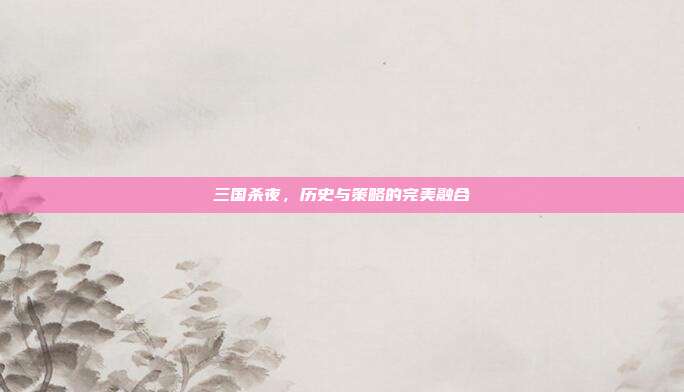 三国杀夜,历史与策略的完美融合
