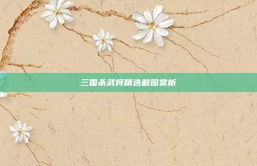 三国杀武将精选截图赏析
