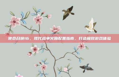 使命召唤16,现代战争火喷配置指南,打造极致游戏体验
