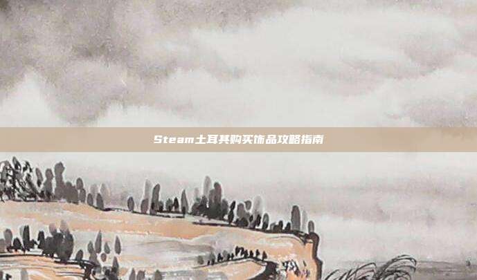 Steam土耳其购买饰品攻略指南
