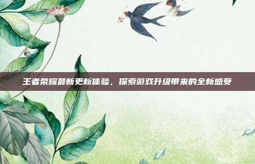 王者荣耀最新更新体验,探索游戏升级带来的全新感受
