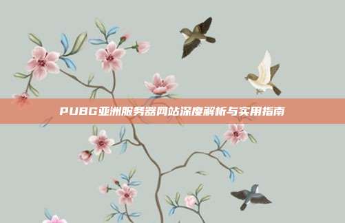 PUBG亚洲服务器网站深度解析与实用指南