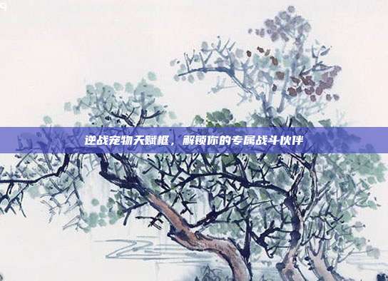 逆战宠物天赋框,解锁你的专属战斗伙伴