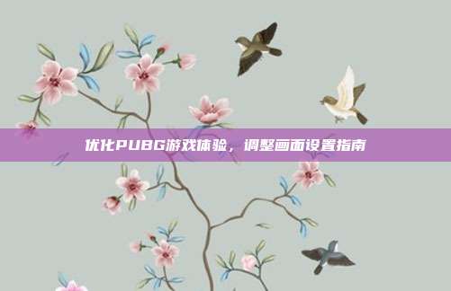 优化PUBG游戏体验,调整画面设置指南