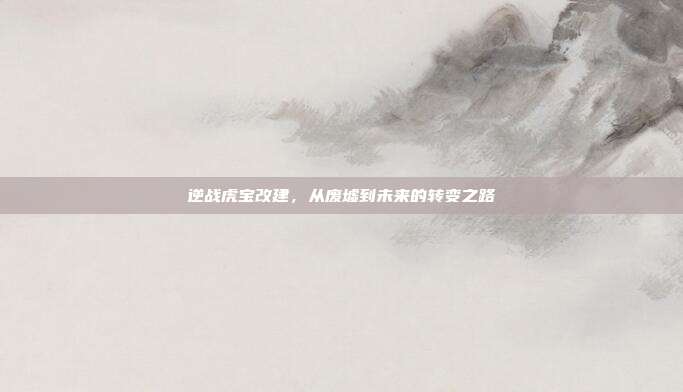 逆战虎宝改建,从废墟到未来的转变之路