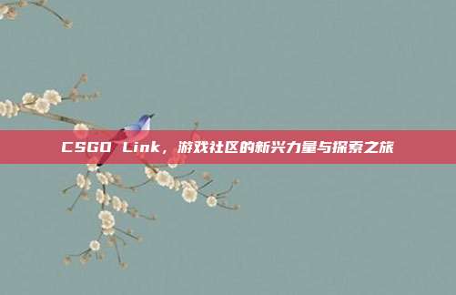 CSGO Link,游戏社区的新兴力量与探索之旅