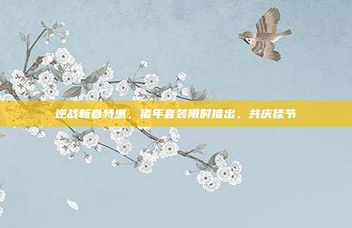 逆战新春特惠,猪年套装限时推出,共庆佳节