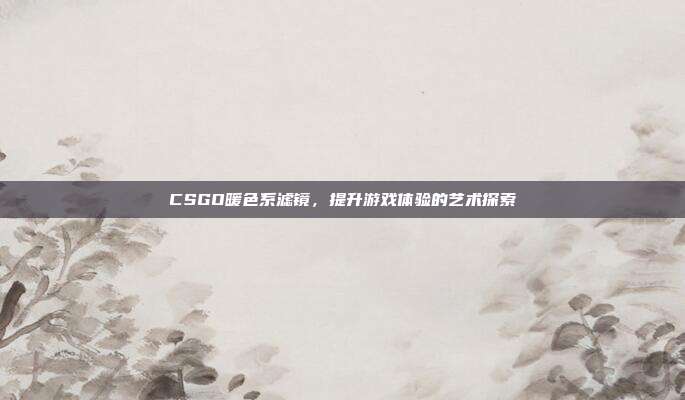CSGO暖色系滤镜,提升游戏体验的艺术探索